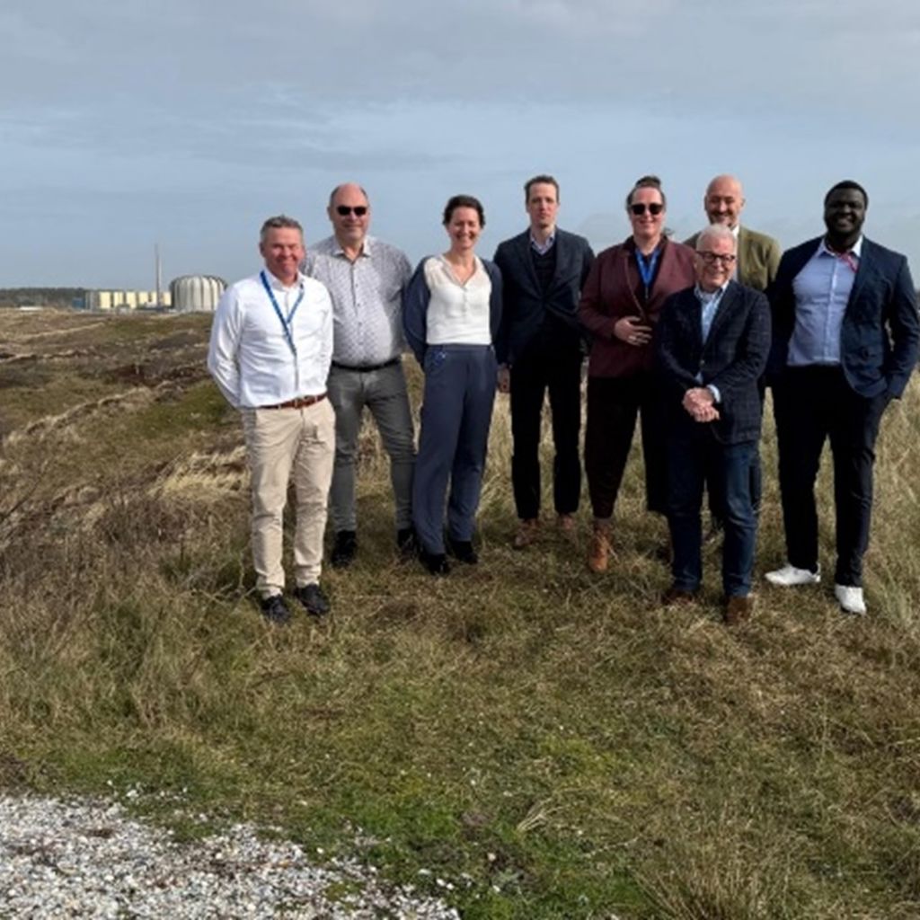 NRG PALLAS Global & Morpho Pharma