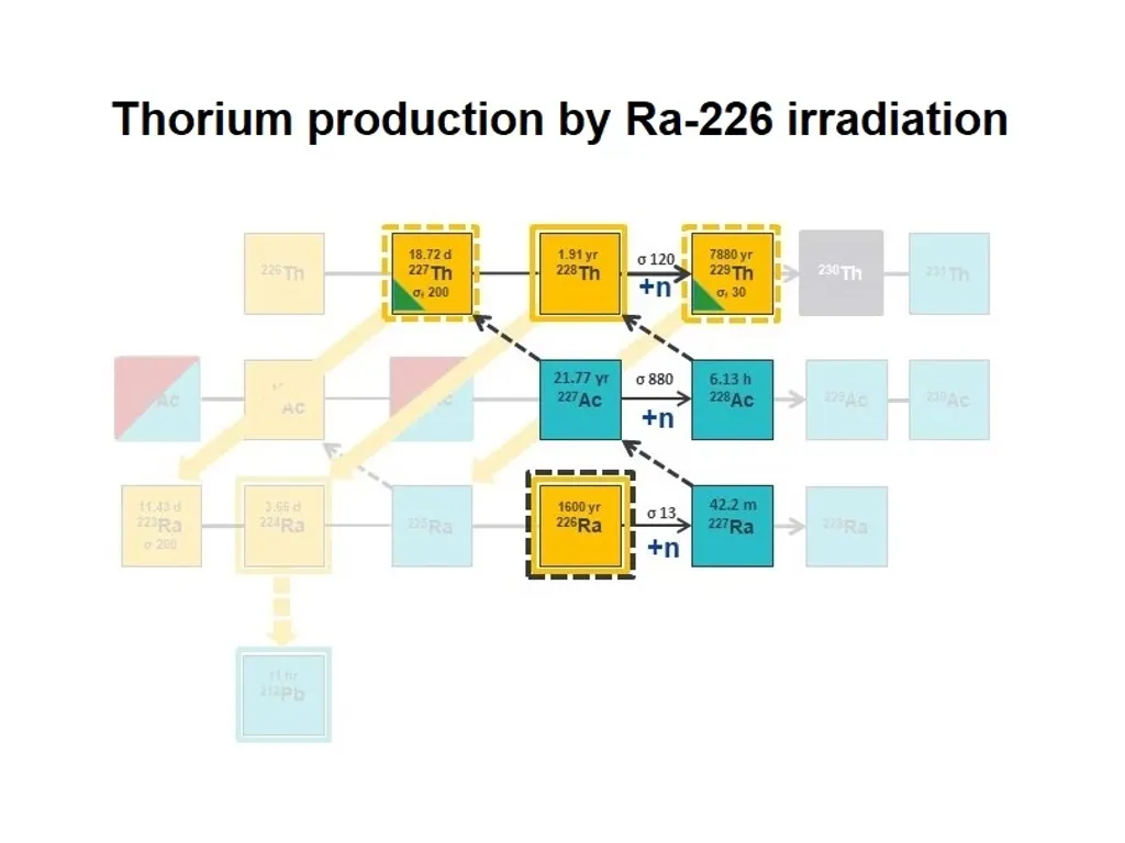Irradiation Of Radium 226 Cropped