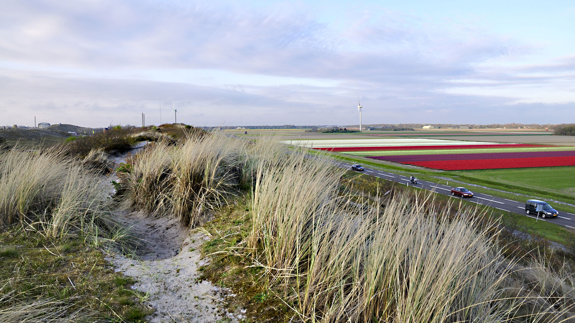 Duinen Van Petten