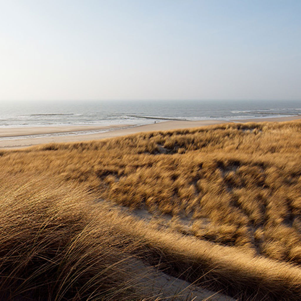 Klimaat