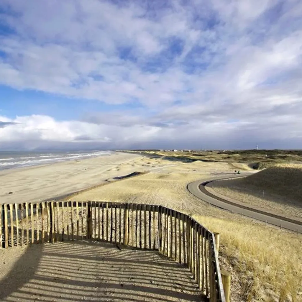 Hondsbossche Duinen Strand PALLAS