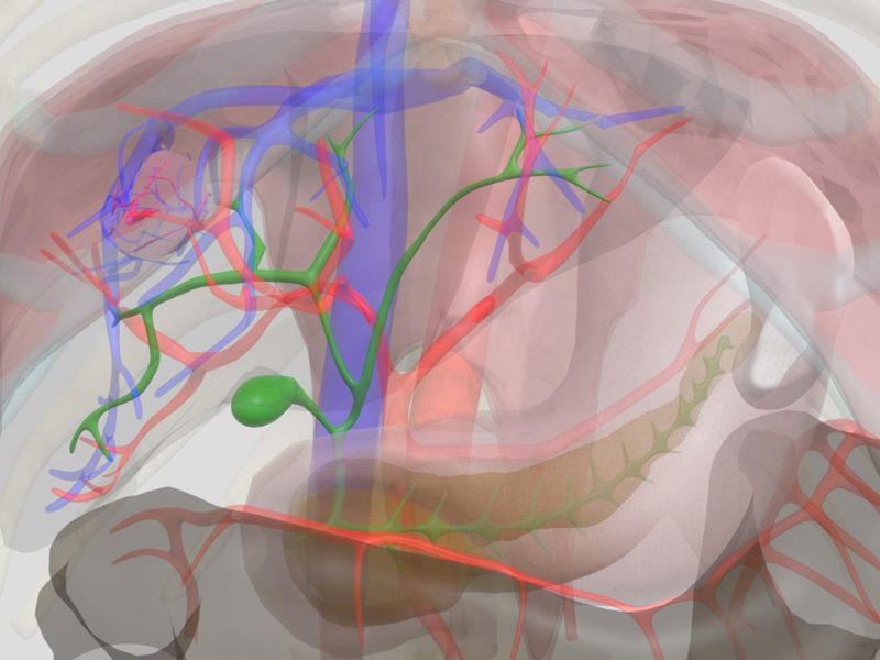 B48a7941cef24bba9357be5dbdaf37b8