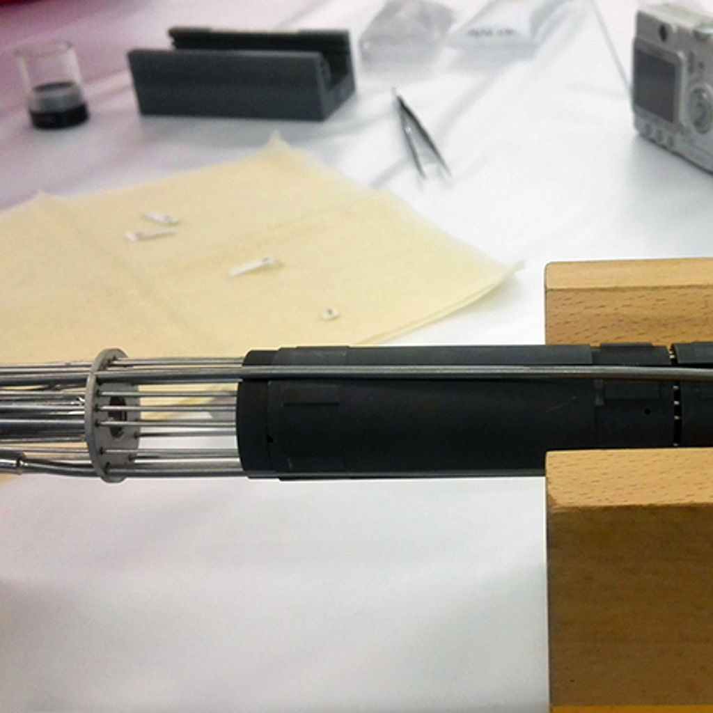 Bestraling Salient 01 480X480
