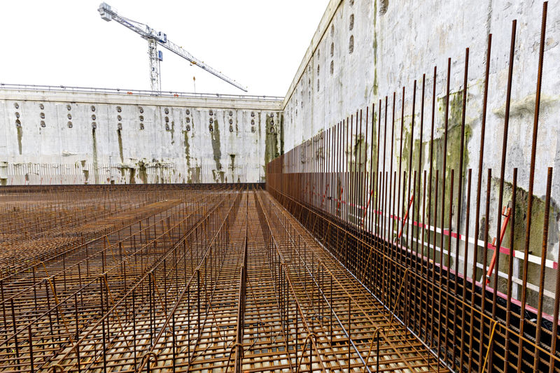 CB1 Rebars From Up Close 27 Jan