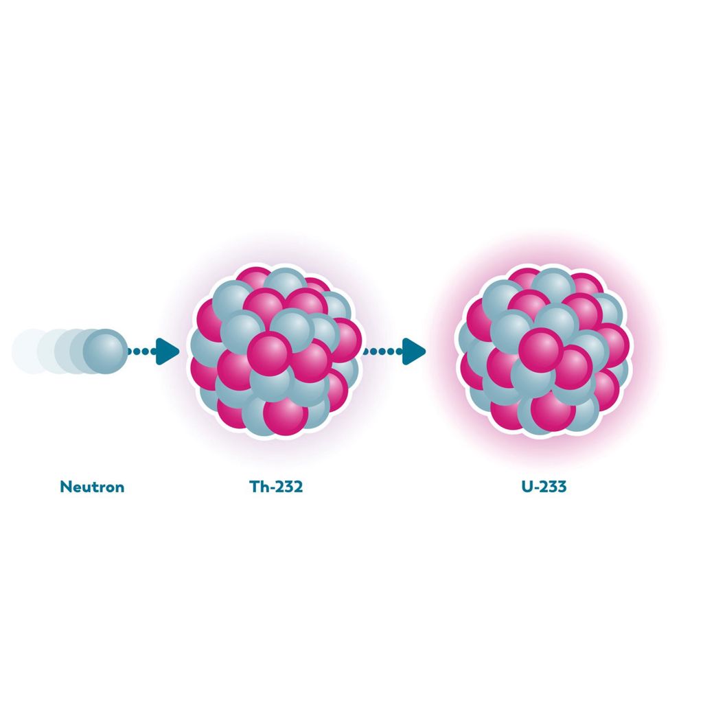 Ensuring Nuclear Performance MSR FAQ 4