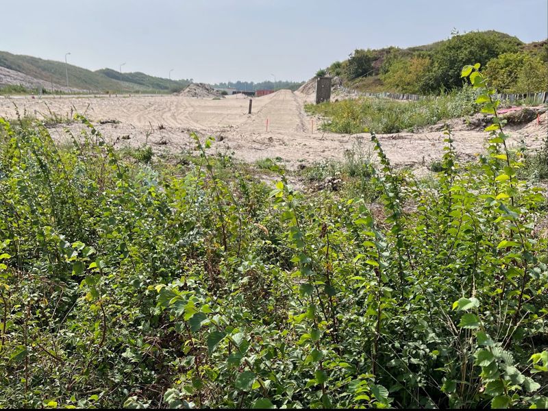 Aug Dune